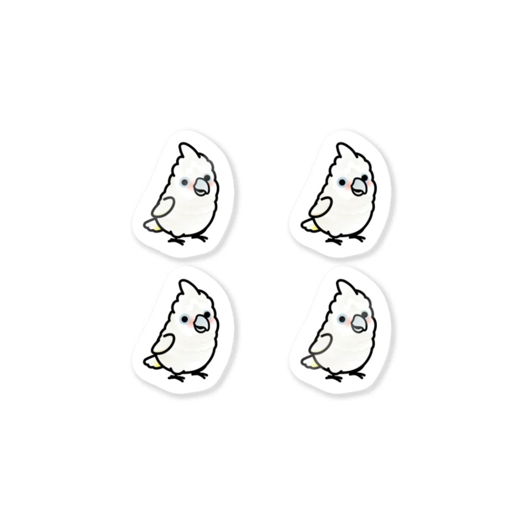 Cody the Lovebirdの Chubby Bird シロビタイムジオウム　 Sticker