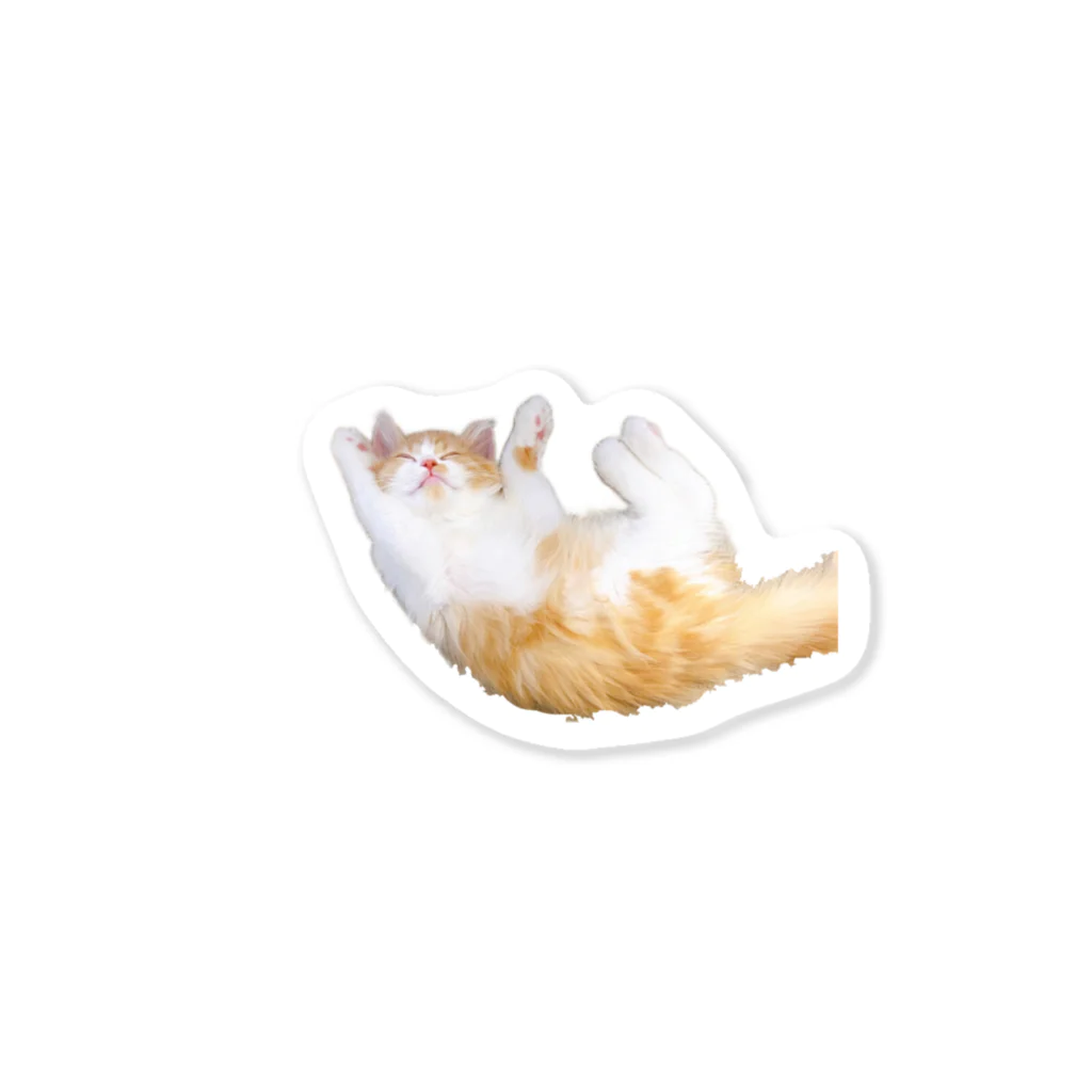 recy_coの寝てるねこ Sticker