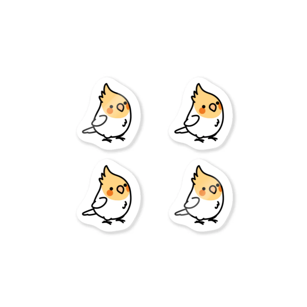 Cody the LovebirdのChubby Bird オカメインコ　ルチノー　 Sticker