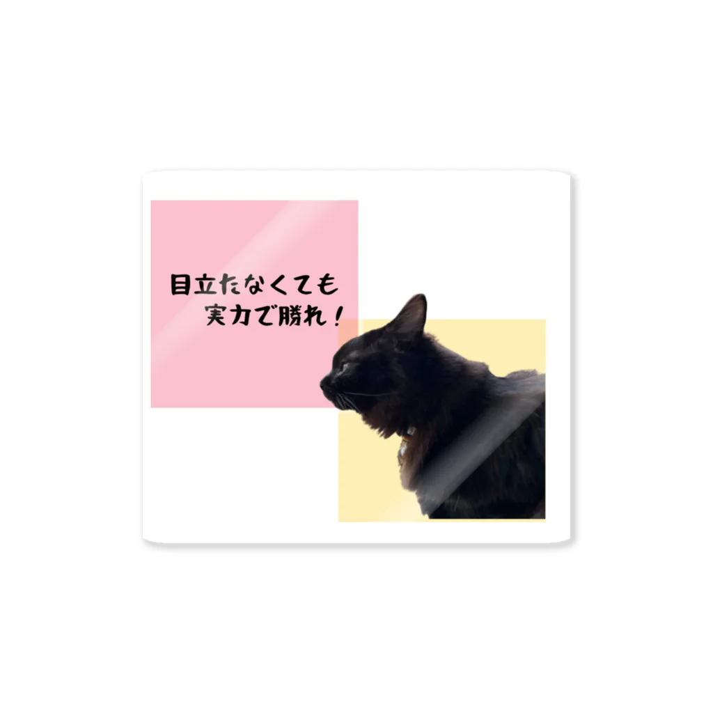 三毛猫の朝と黒猫の夜@好奇心倶楽部の黒猫の夜は目立たない ステッカー