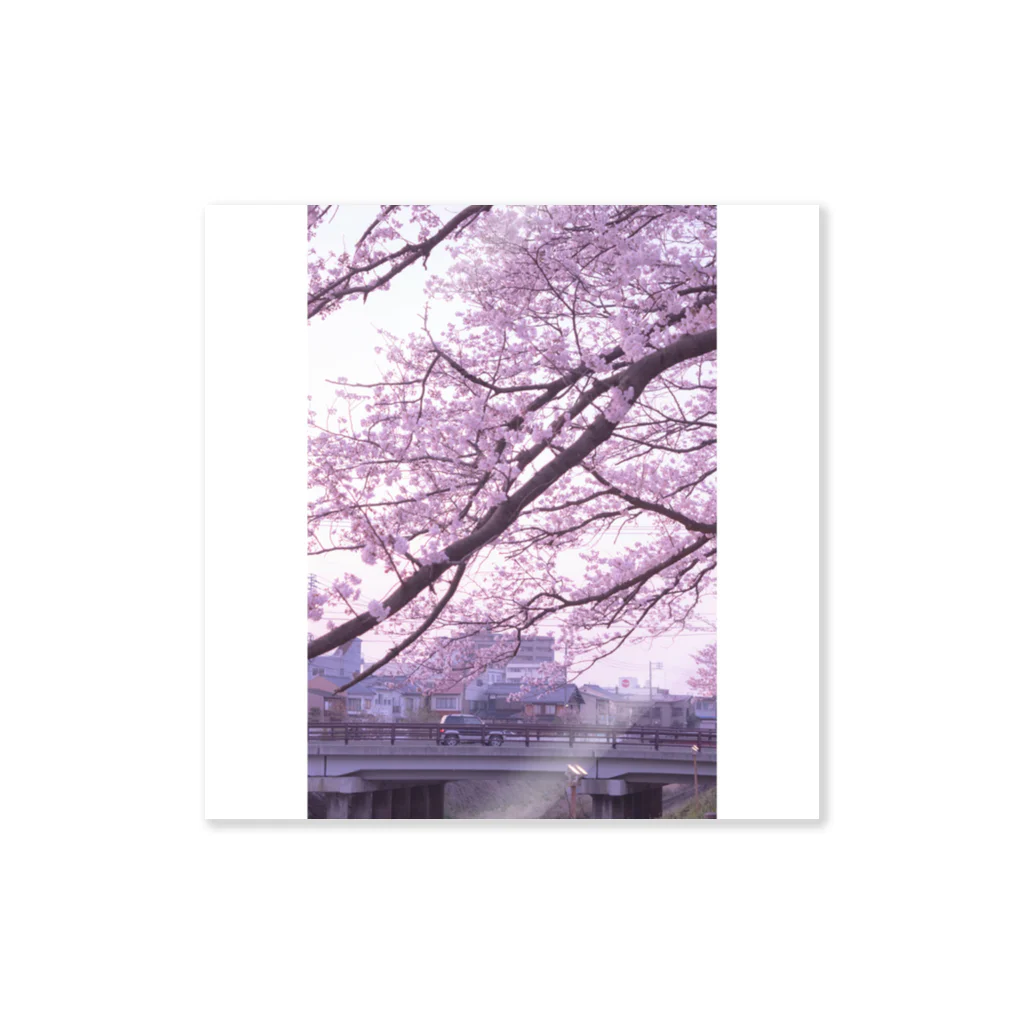 Aӵakaの春色のメロディー Sticker