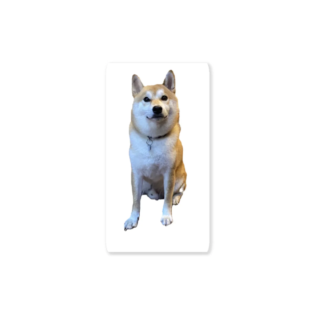 takashi___の柴犬の五郎 Sticker