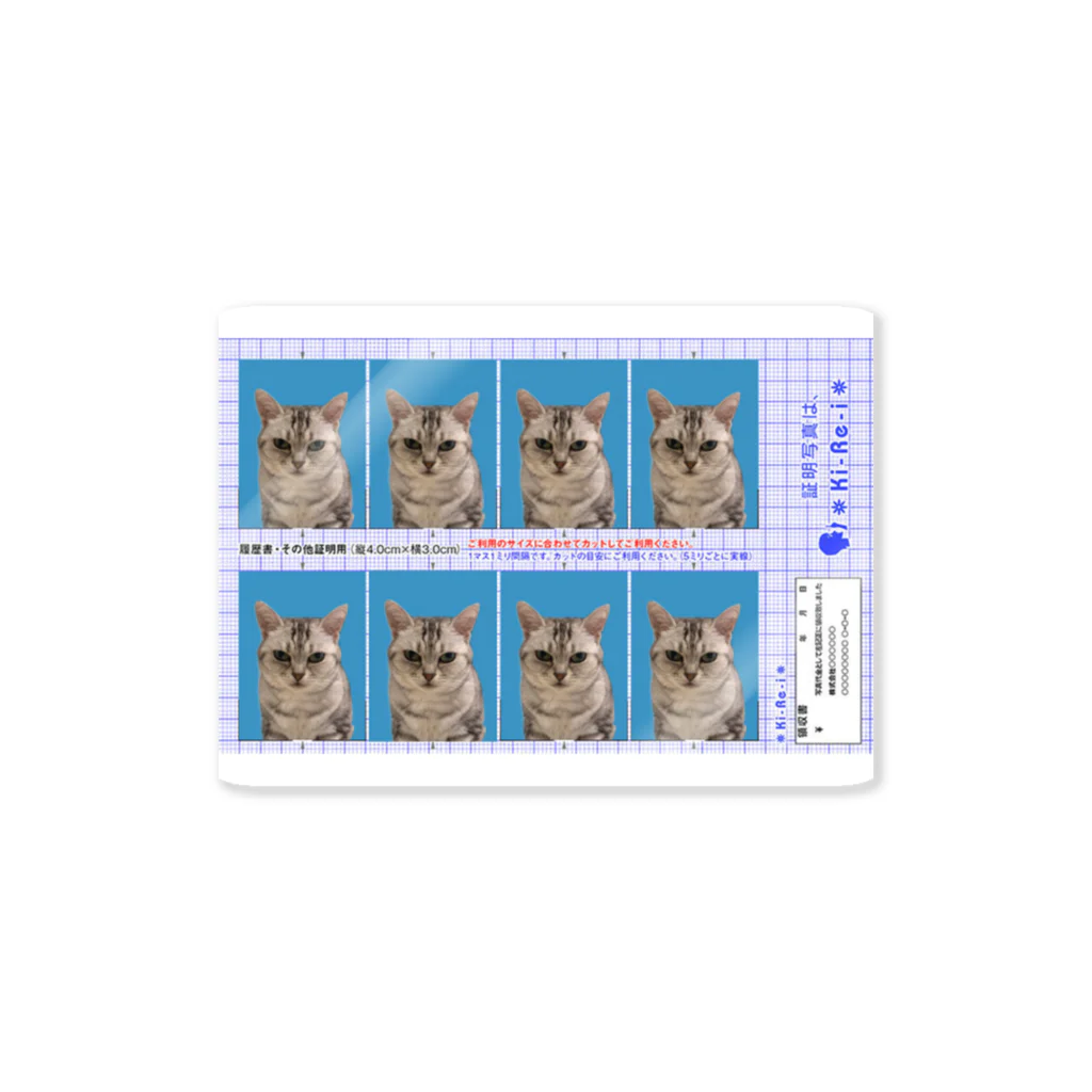 飼い猫の飼い猫の証明写真 Sticker