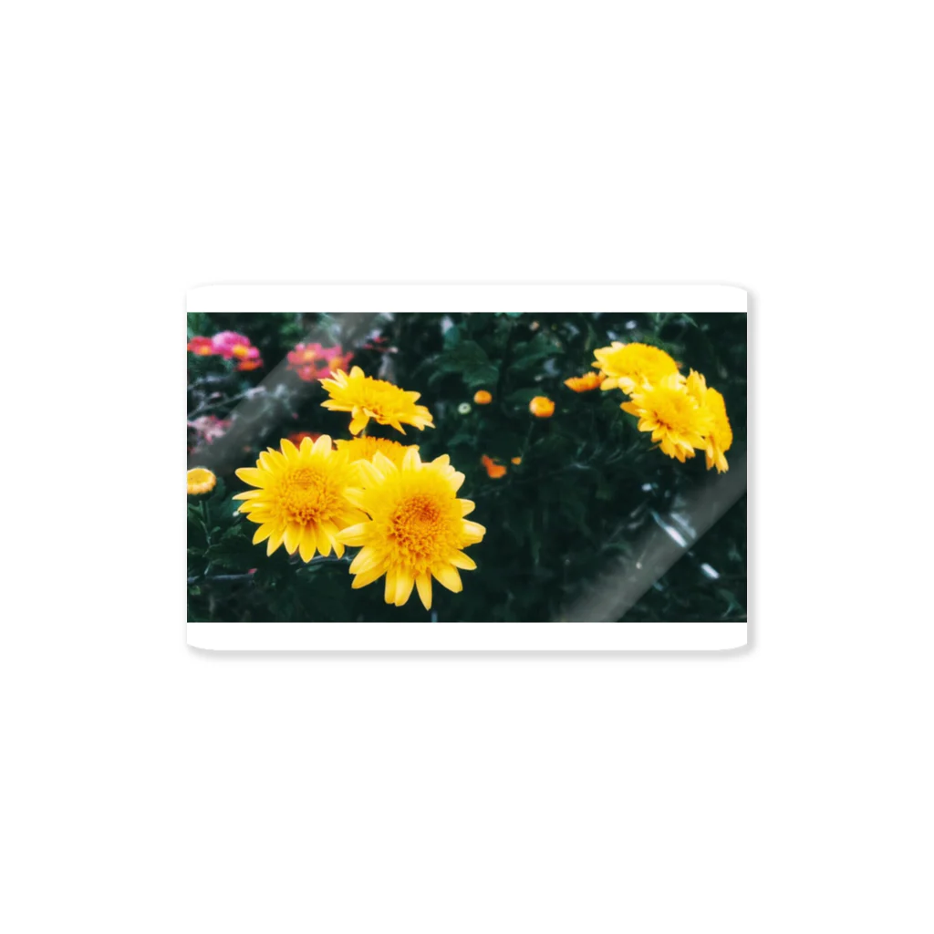 kenn.のYellow Flowers ステッカー