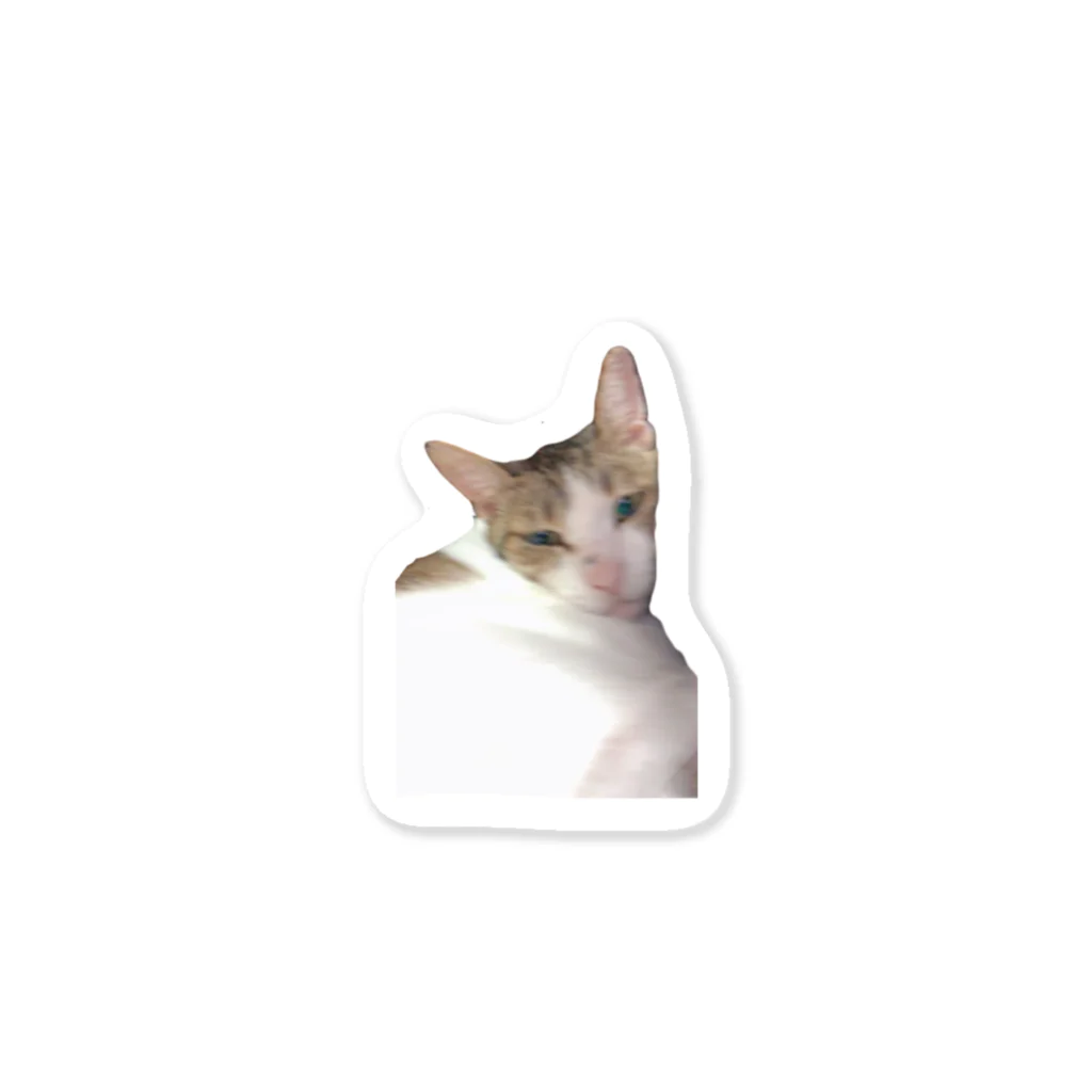 ねこかわいいの三角猫 Sticker