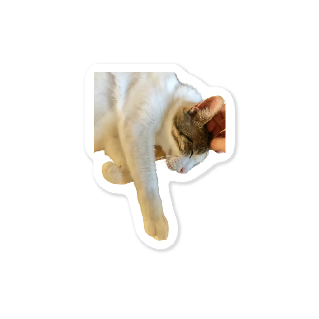 ねこかわいいのねこ Sticker