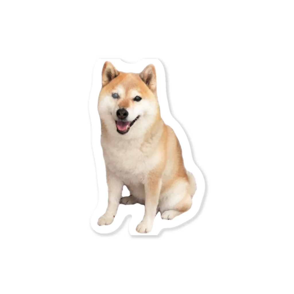 azu azureの柴犬チビちゃん Sticker