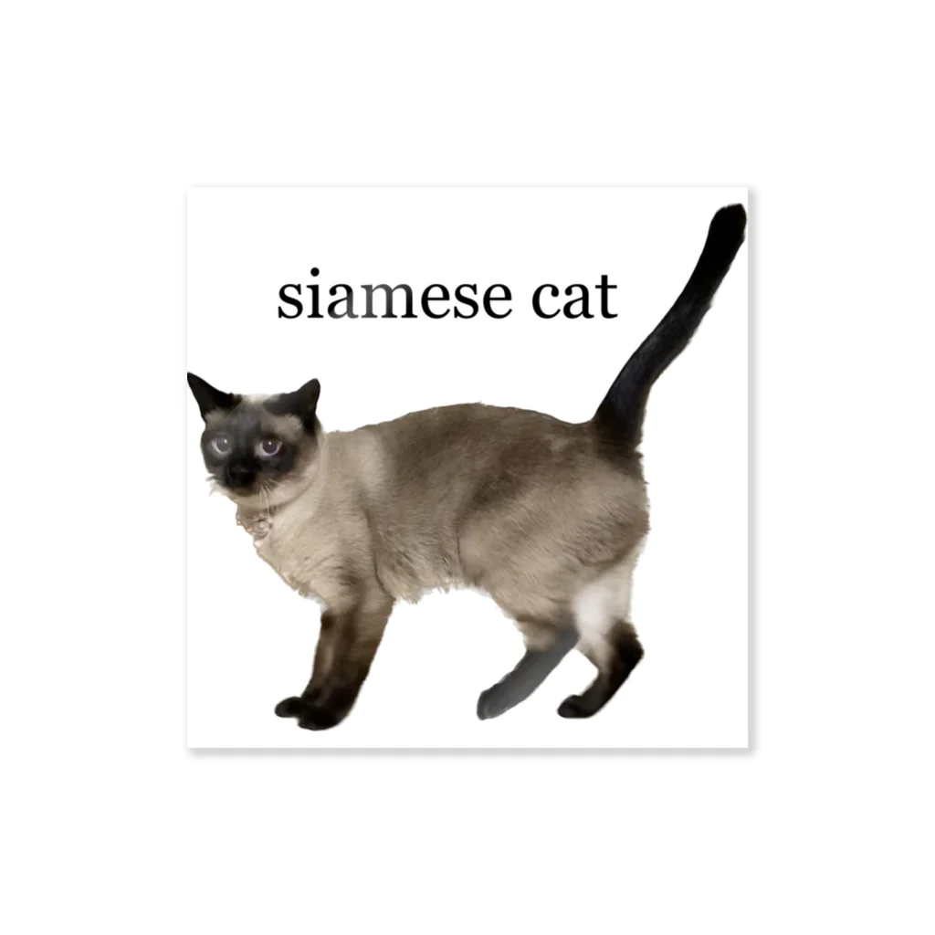 Siamese cat シャムのシャム猫海ちゃん ステッカー