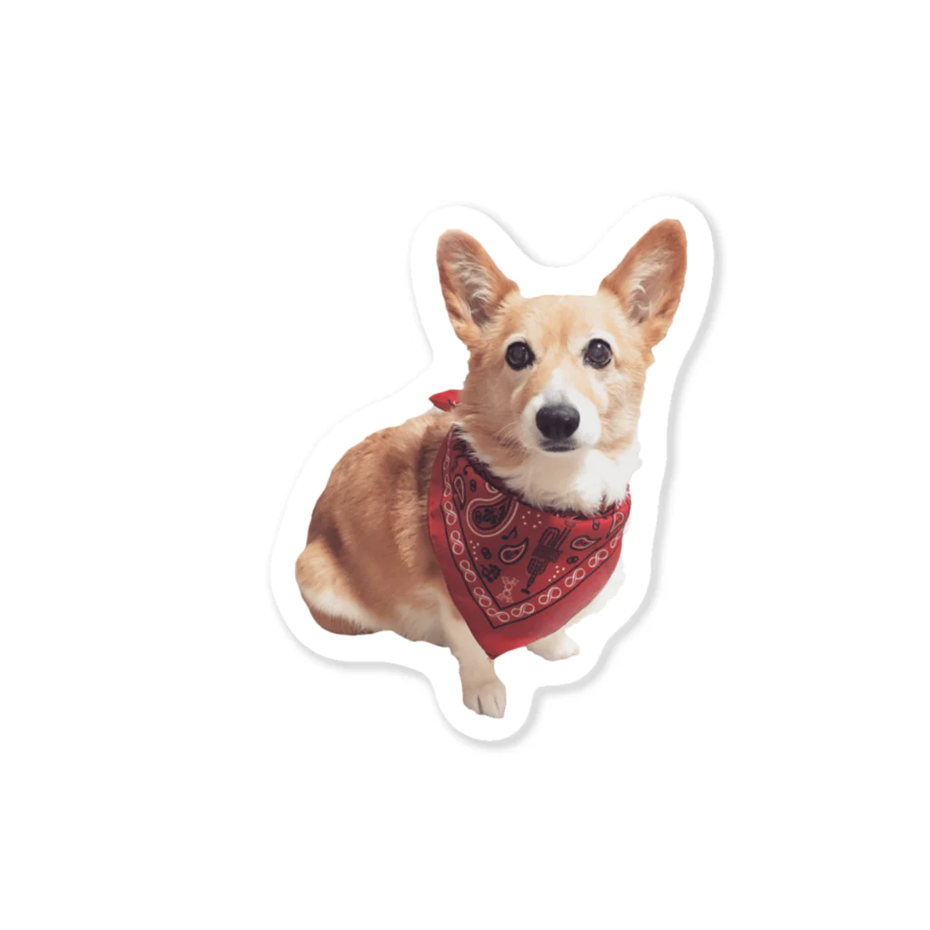 はるとのお犬 Sticker