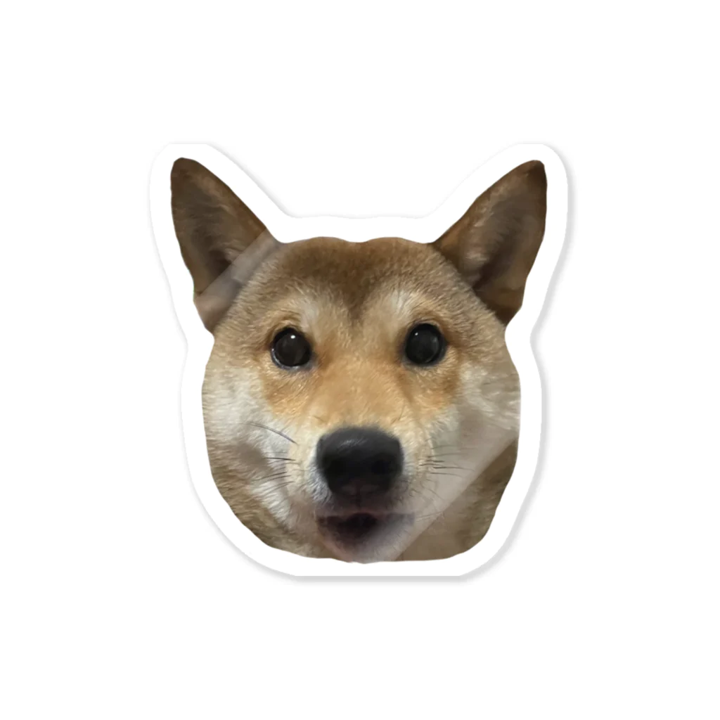 おいしいごはん！のショックを受けている柴犬 Sticker