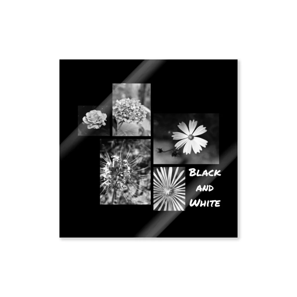 FILM CANERA FANのBlack and White Flowers ステッカー