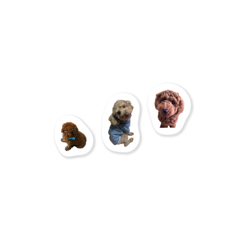 🐶ぷーちょこ公式ショップ🐶のぷーまるけステッカー Sticker