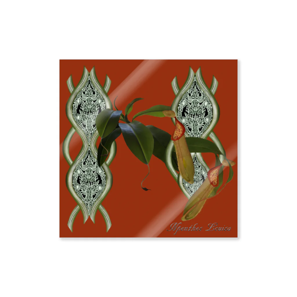 Exotc Peony～絵夢～のNpenthes Louisaシリーズ Sticker