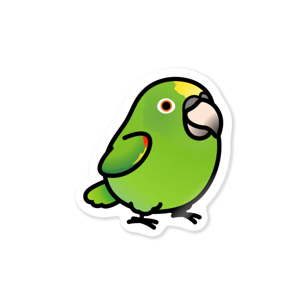 Cody the LovebirdのChubby Bird キビタイボウシインコ Sticker
