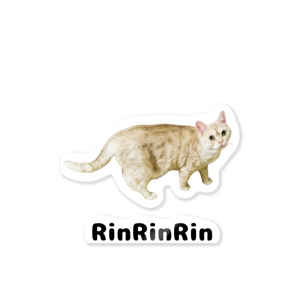 RinRinRinの歩いてたら名前を呼ばれて振り向いた猫ちゃん Sticker