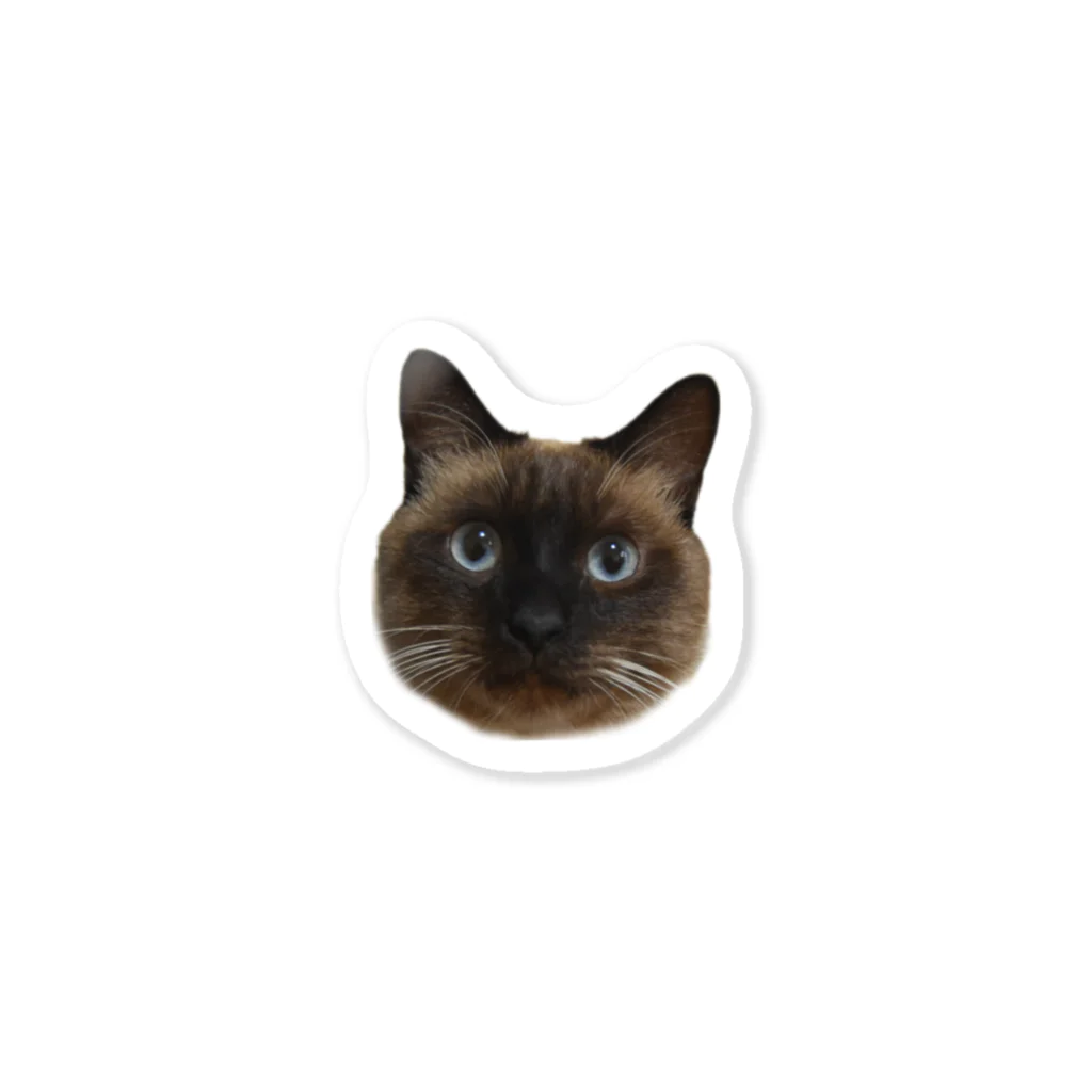 海谷子猫の海ちゃんちのアッシュ Sticker