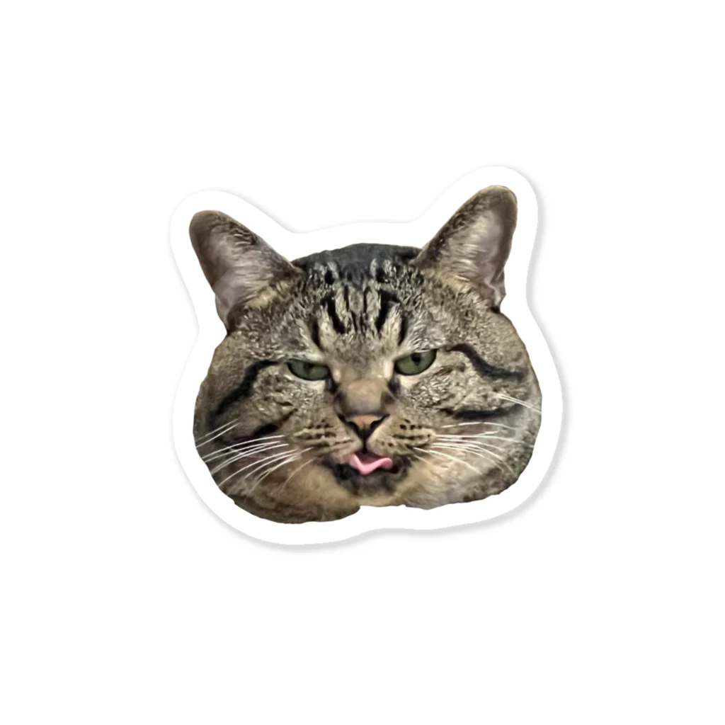 はしづめ_ねこのツメの顔でか猫 Sticker