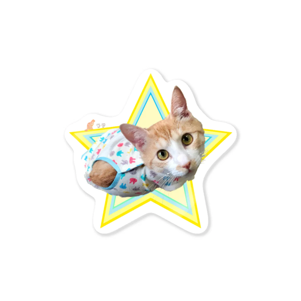 保護ねこの家のお洋服ラテ王子by黒豆猫 Sticker