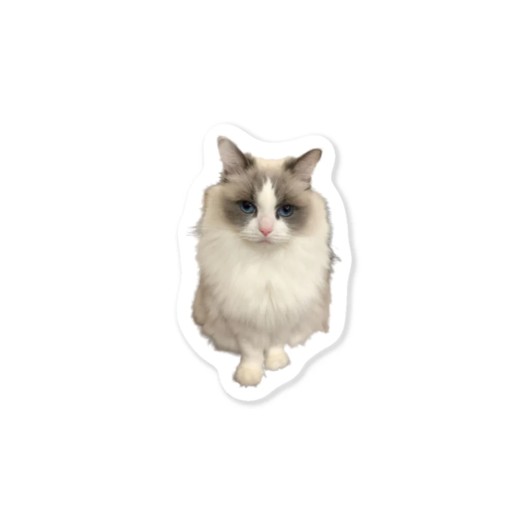 のん。-猫のいる暮らし-のおすわりのんちゃん Sticker