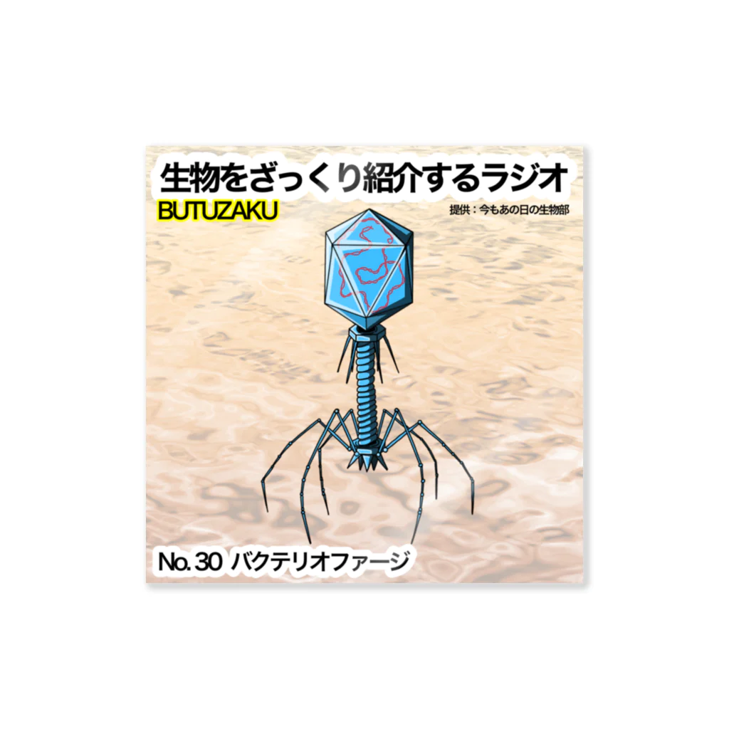 今もあの日の生物部 - グッズ販売班の第30話：「バクテリオファージ」　番組サムネステッカー Sticker