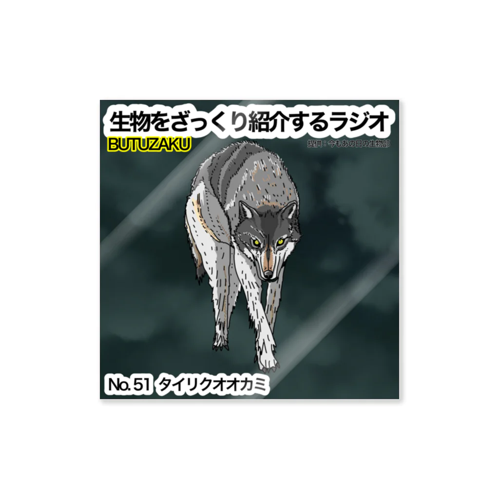 今もあの日の生物部 - グッズ販売班の第51話：「タイリクオオカミ」　番組サムネステッカー ステッカー