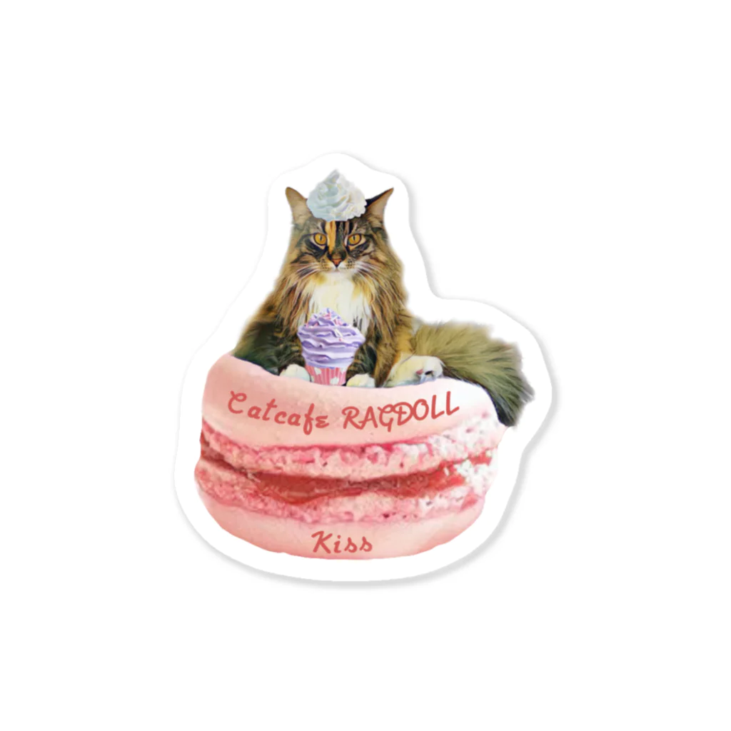 猫カフェラグドール（大阪難波）のマカロンきちゃん💋💕 Sticker