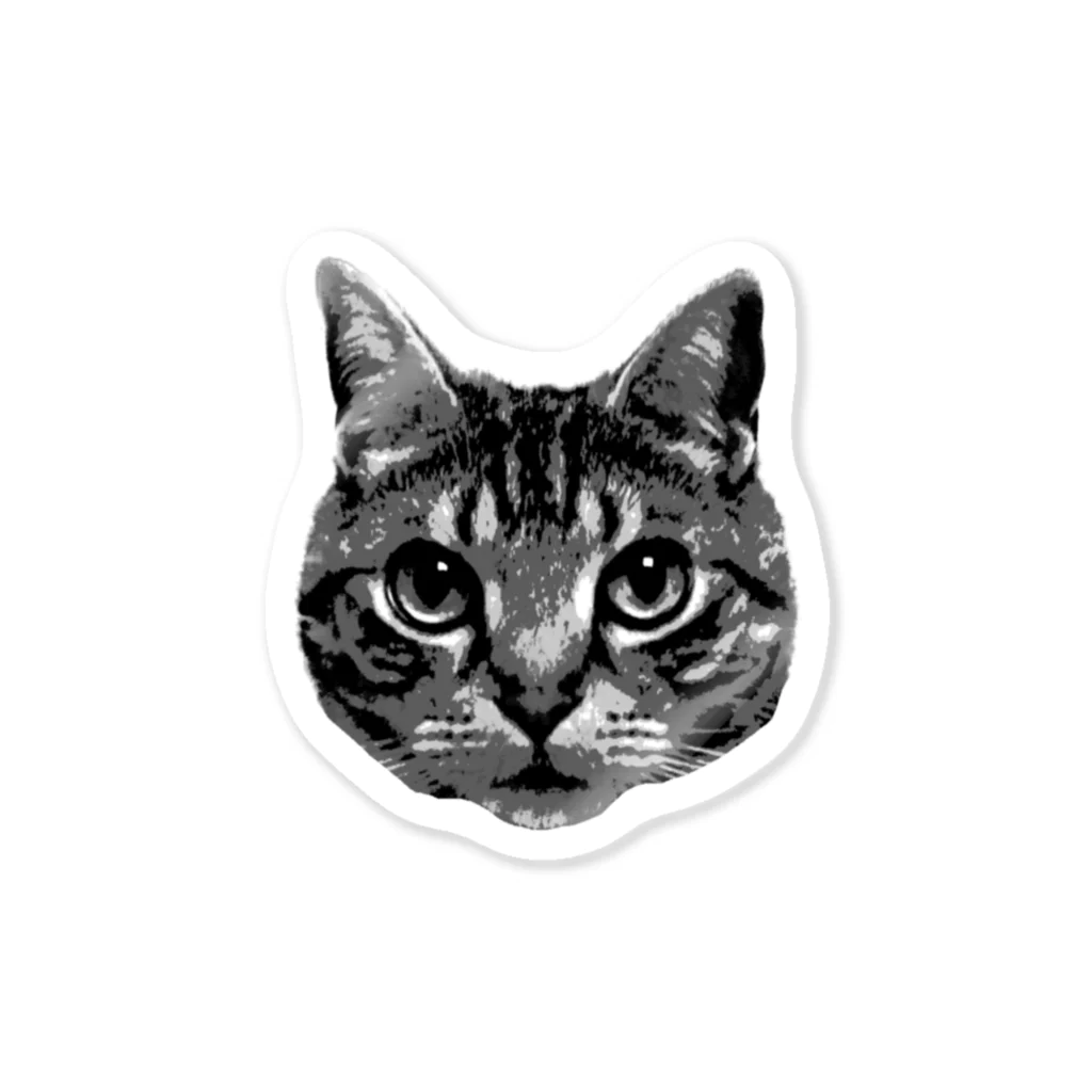 毎日ころりんのねこちゃんフェイス Sticker