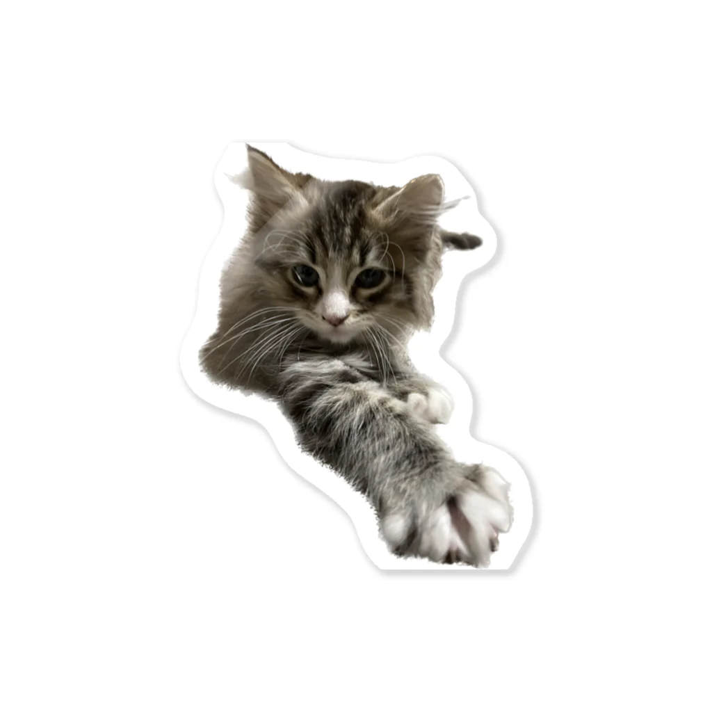 jin.の猫のjin Sticker