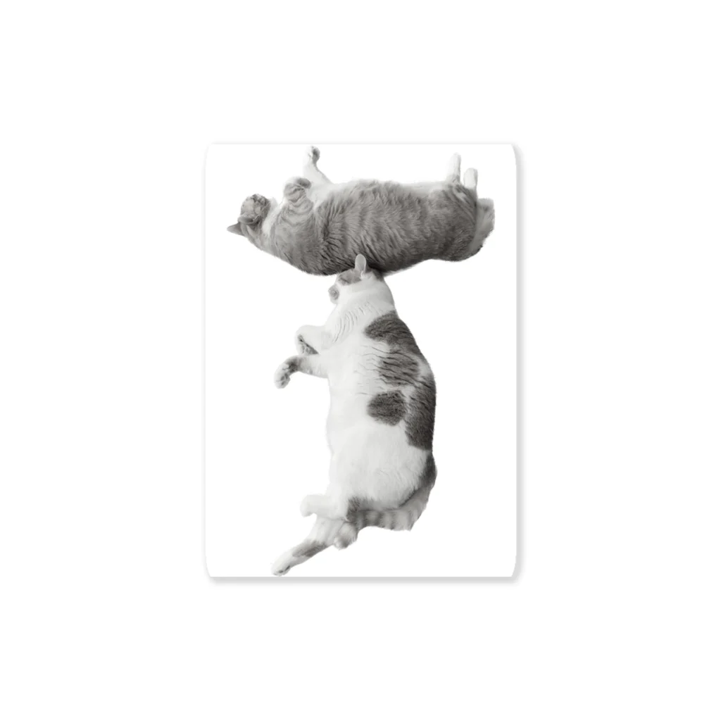 クルミのT猫 Sticker