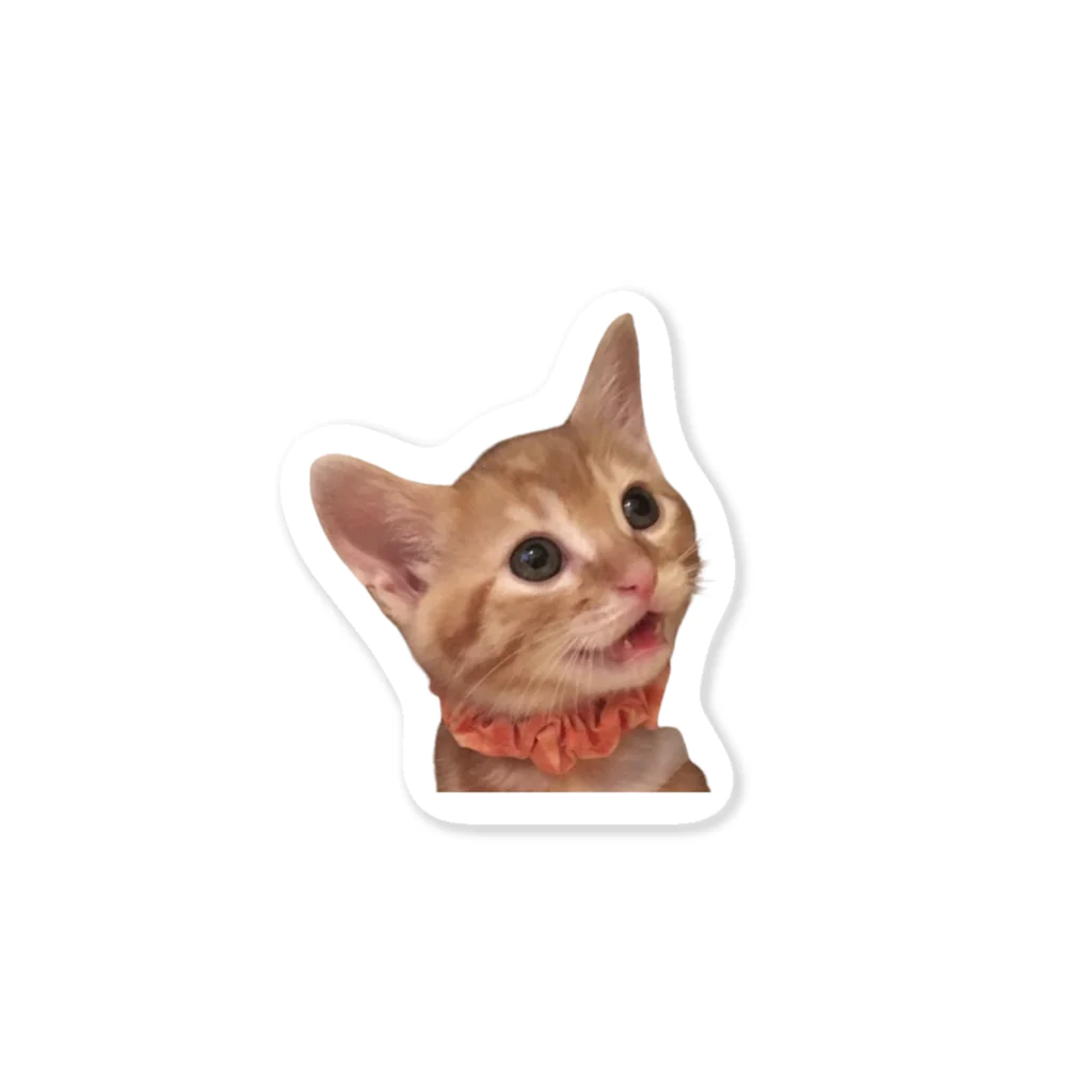 とらねこのリョウくんのとらねこのリョウくん Sticker