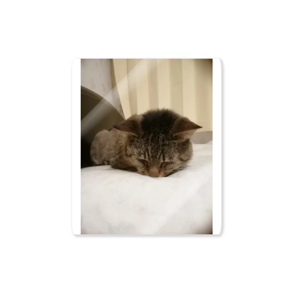 工房かみりゅんの家の猫　茶虎 Sticker