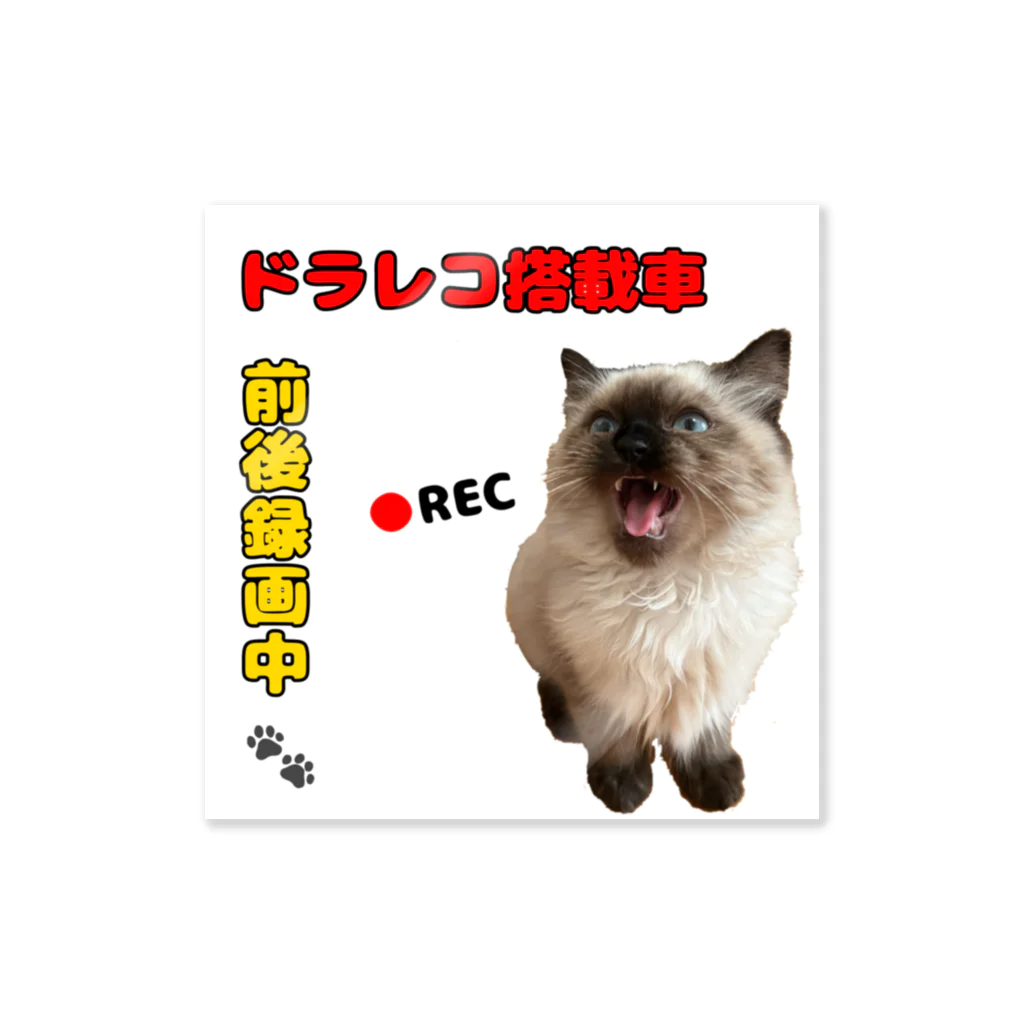 猫の家のドラレコステッカー ステッカー