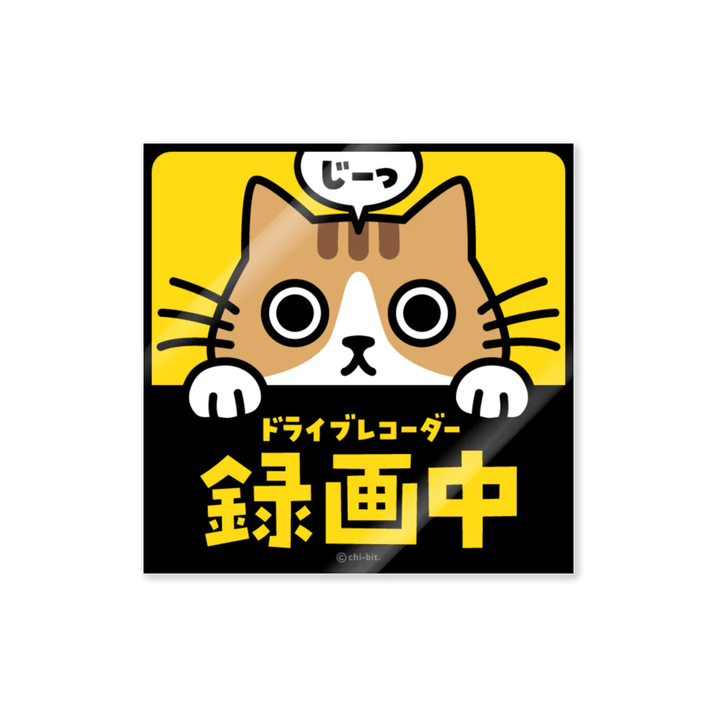 chi-bitのじーっとみる猫・ドライブレコーダー録画中！（茶シロ・ハチワレ） ステッカー