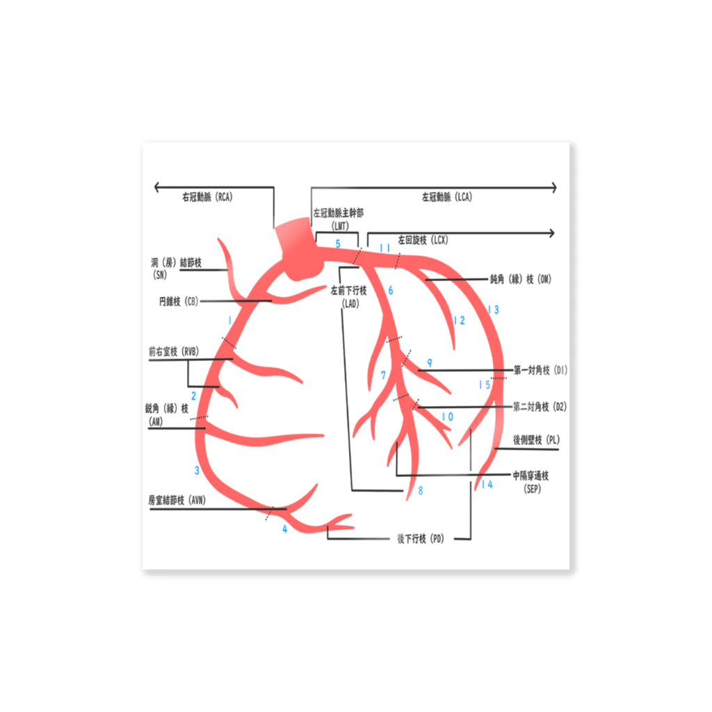 ゆんちるのとにかく冠動脈！ ステッカー