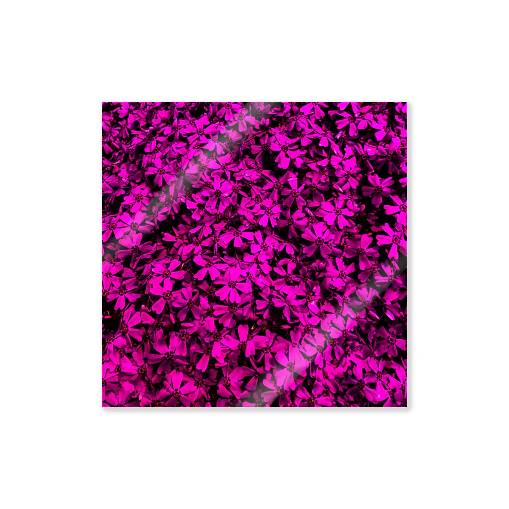 むむの花（紫） ステッカー