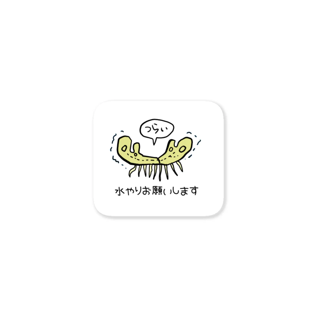 ぱぁら（多忙）の枯れてるゼニゴケちゃん Sticker