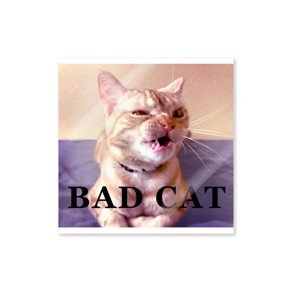 こけしボックスのわるいねこ　BAD CAT Sticker