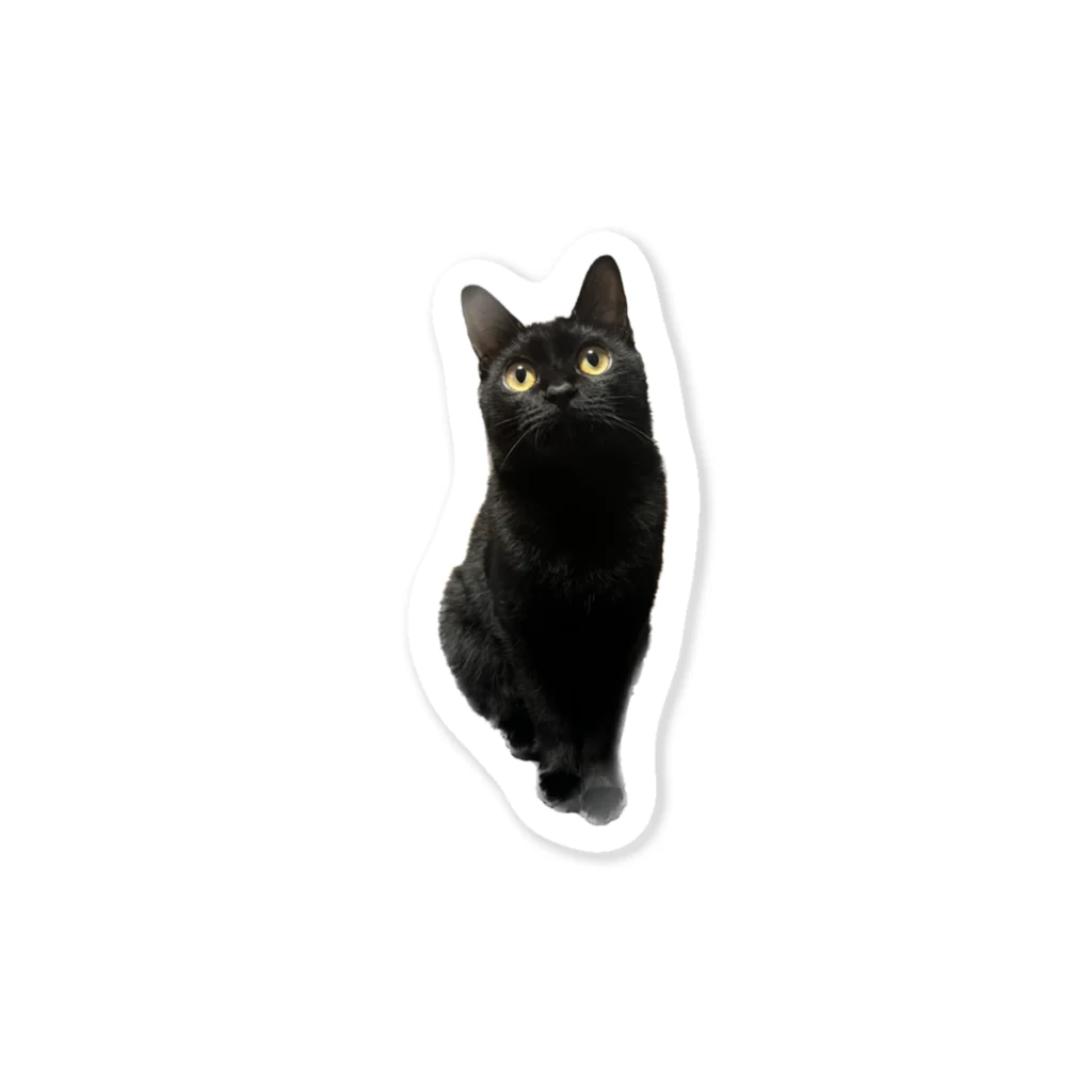 Sa_o3の黒猫のころん Sticker