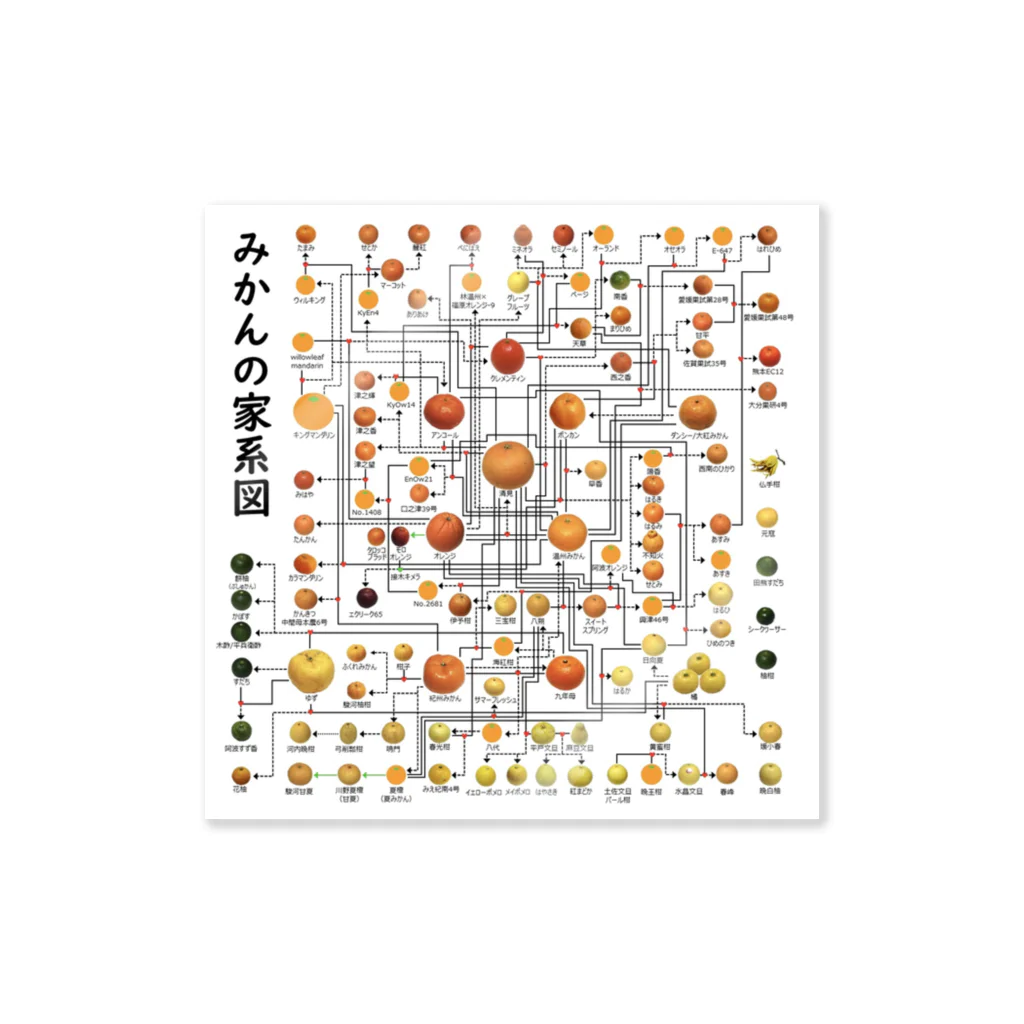 みかんノートのみかんの家系図 ステッカー