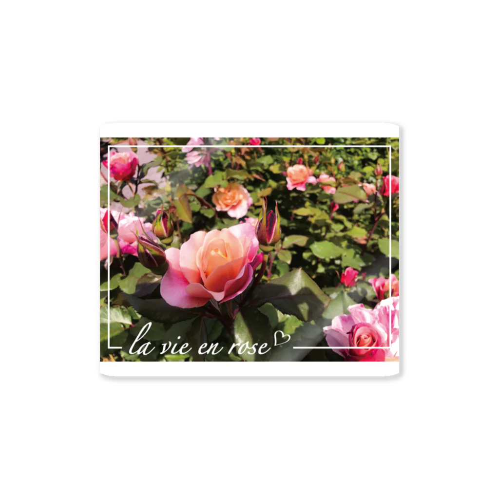 rose_queryのLa Vie en rose Ⅱ Sticker