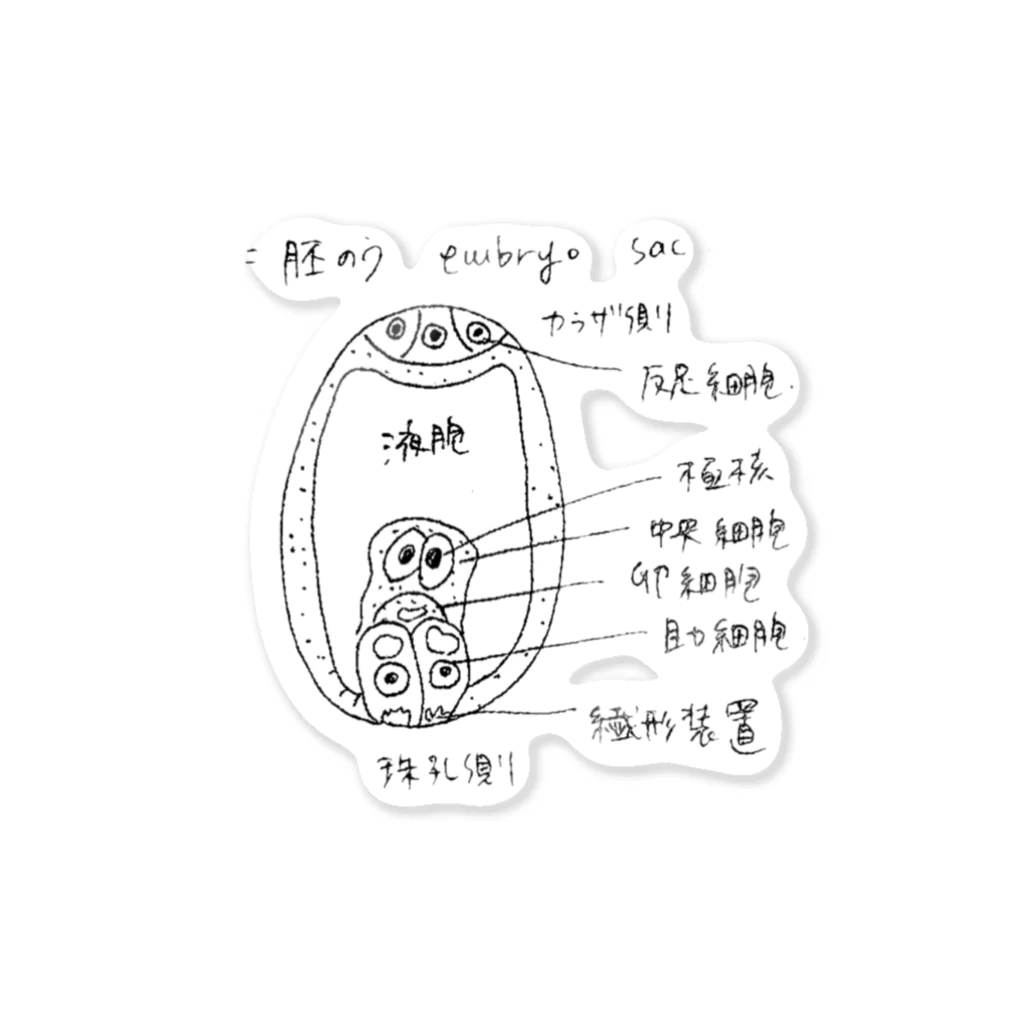 kamioのエンブリオサック ステッカー