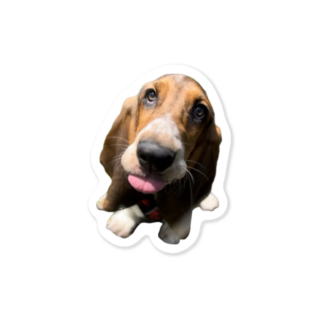 TOMBI the Basset houndのぺ ステッカー