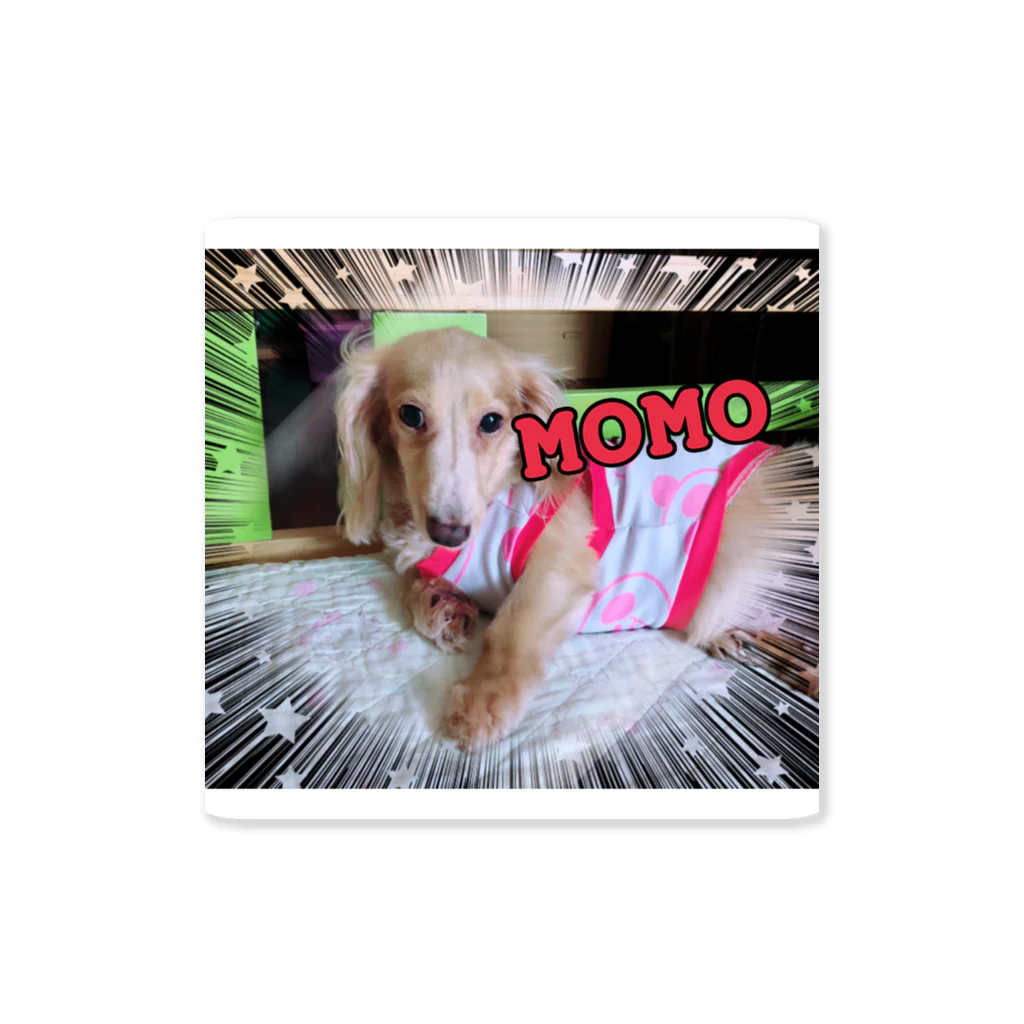 ルネムーン☽°.*の愛犬MOMO ステッカー