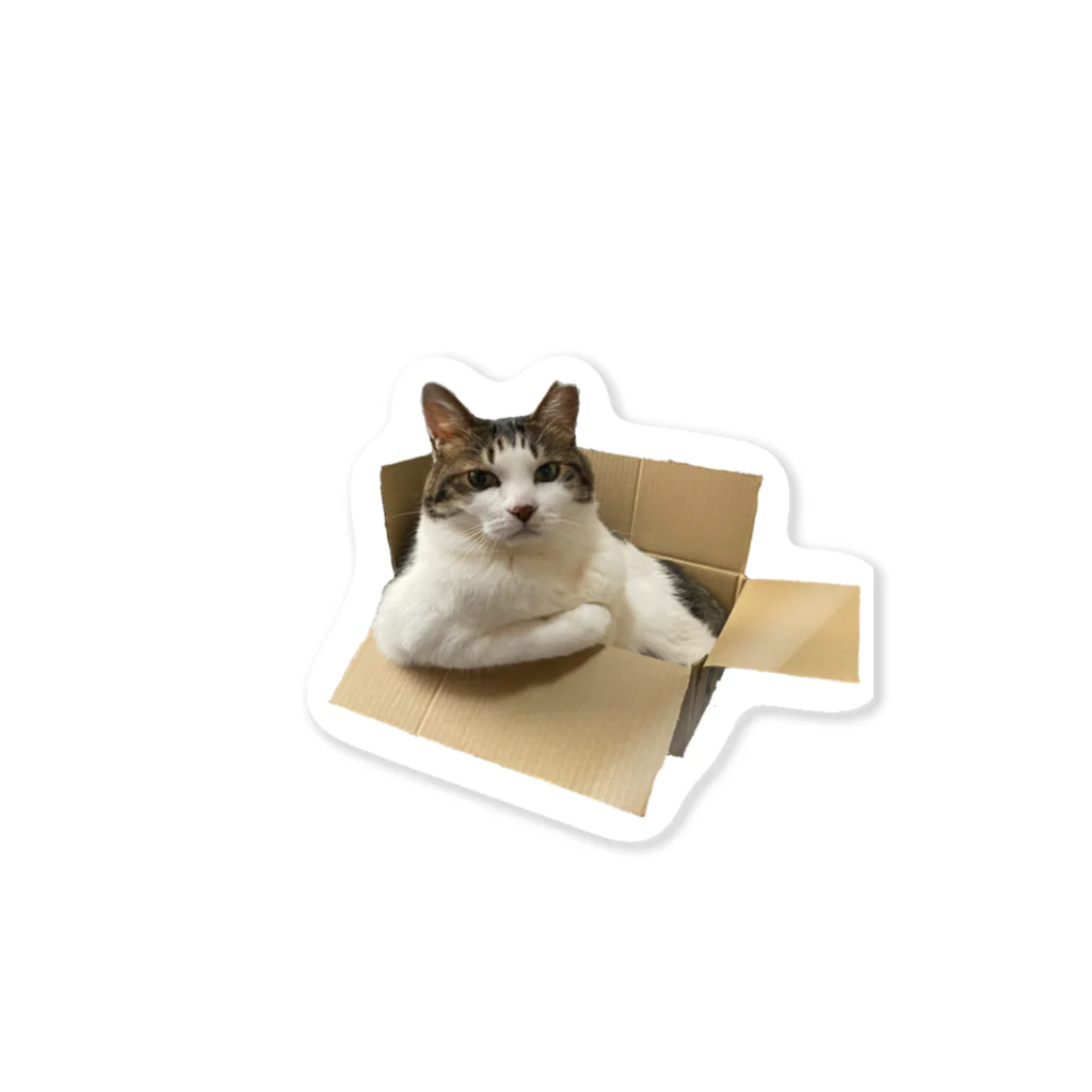 肉球書庫（絵）のムキムキ猫ちゃん Sticker