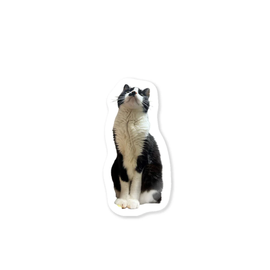 TANAKA212の凛々しいCat　 Sticker