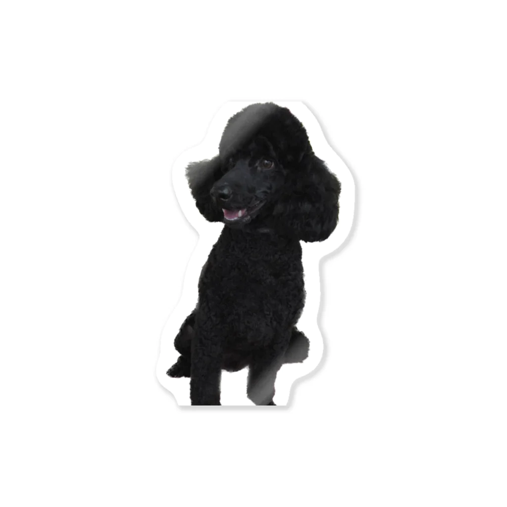 toypoodle_pu-sukeの犬 Sticker