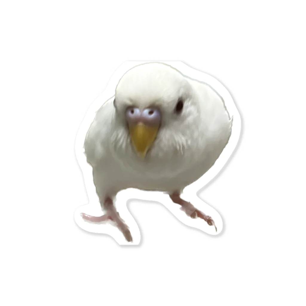 みぽりんショップのアルビノセキセイインコハクちゃん Sticker