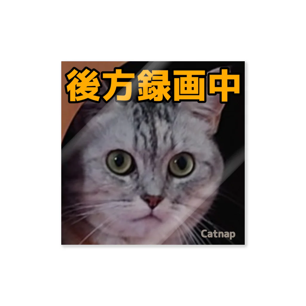 Catnapのドラレコステッカーみてるよ（ＭＡ） Sticker