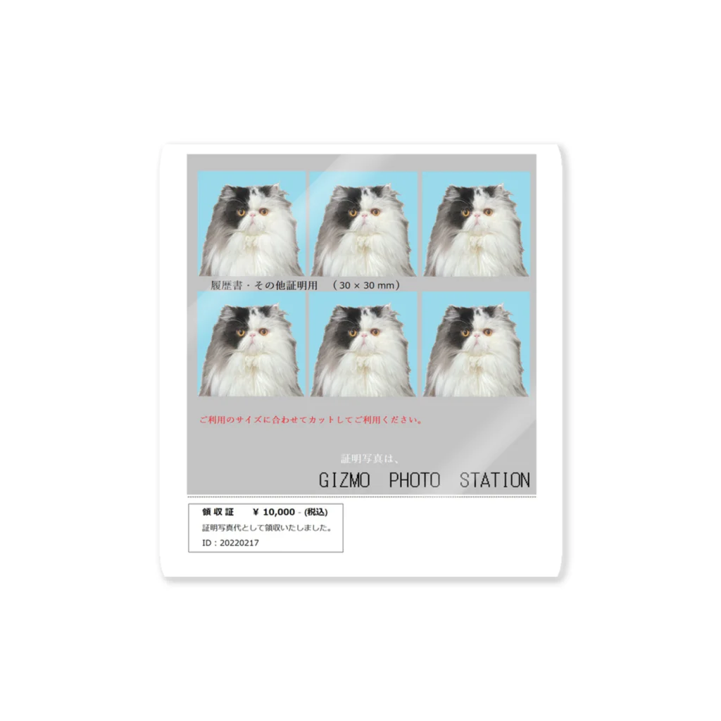 猫のギズモのギズモの証明写真 Sticker
