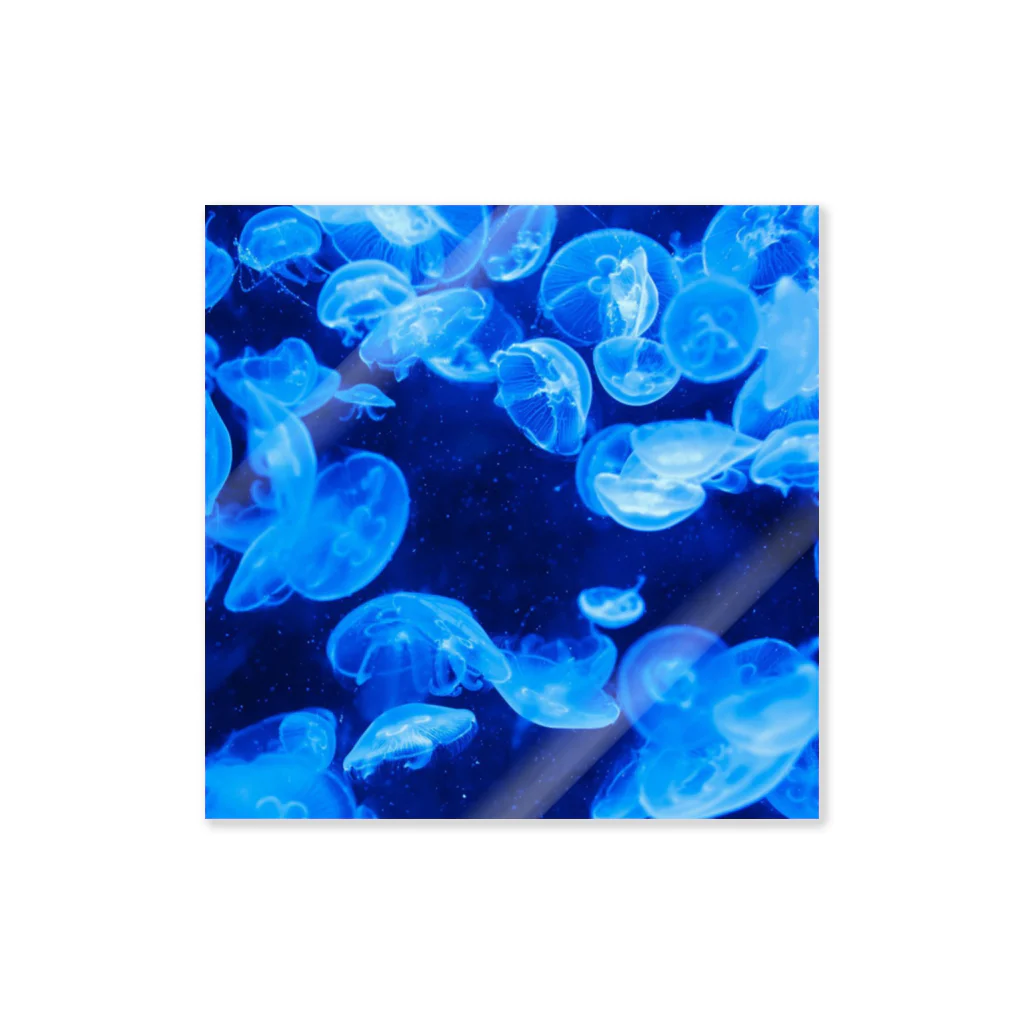 KAOKAOのJellyfish=海月 ステッカー